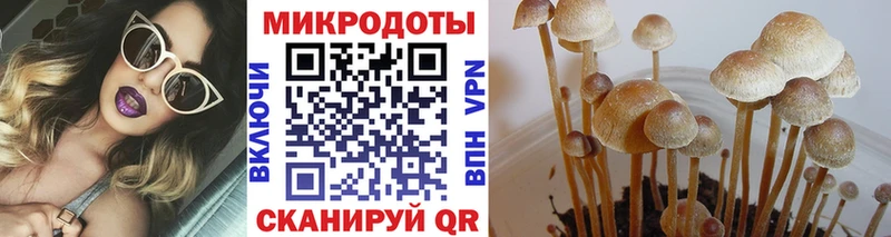 Купить  Кунгур  Галлюциногенные грибы GOLDEN TEACHER 
