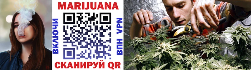 Купить  Кунгур  Канабис MAZAR 